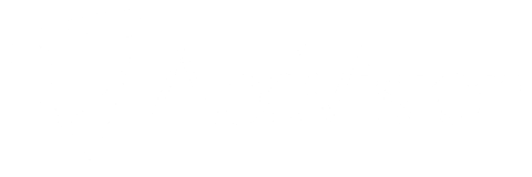 Ace Vision Group